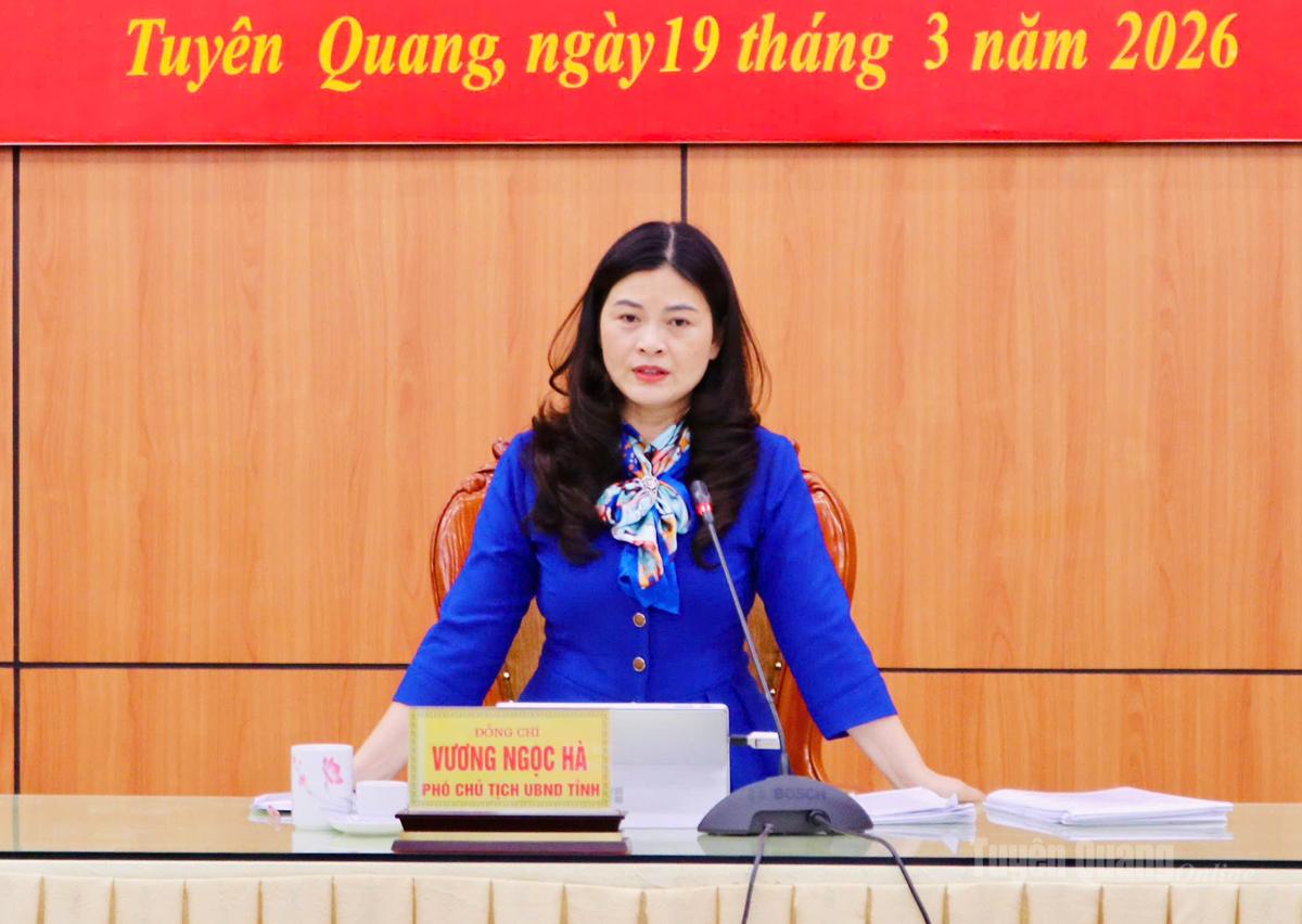 Đồng chí Vương Ngọc Hà, Ủy viên BTV Tỉnh ủy, Phó Chủ tịch UBND tỉnh kết luận tại buổi làm việc.